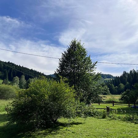 Drewniany Domek Bb Nad Rzeka Powrożnik Exteriör bild