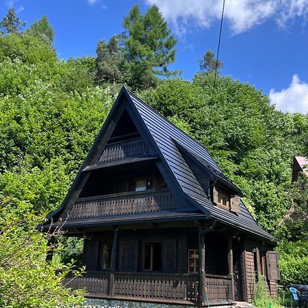 Drewniany Domek Bb Nad Rzeka Powrożnik Exteriör bild