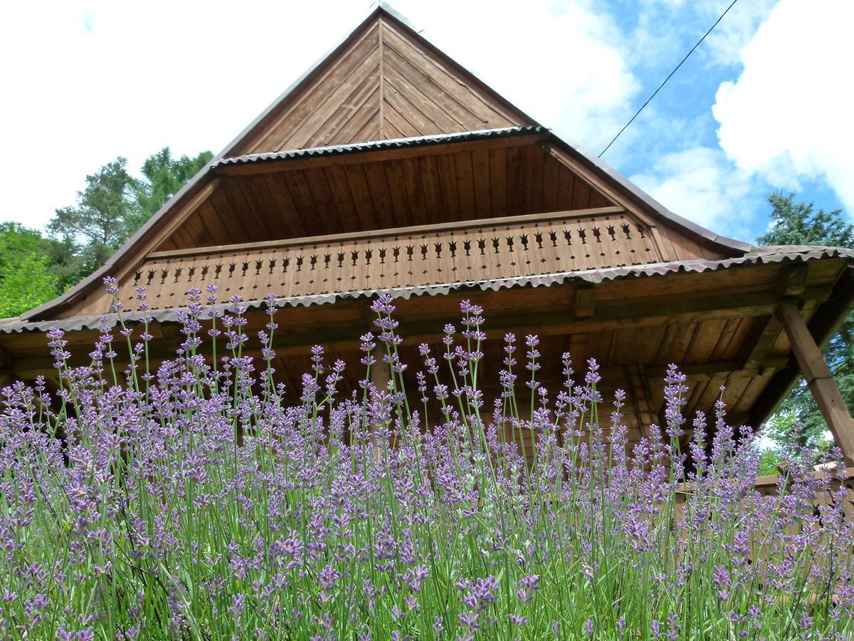 Drewniany Domek Bb Nad Rzeka Powrożnik Exteriör bild